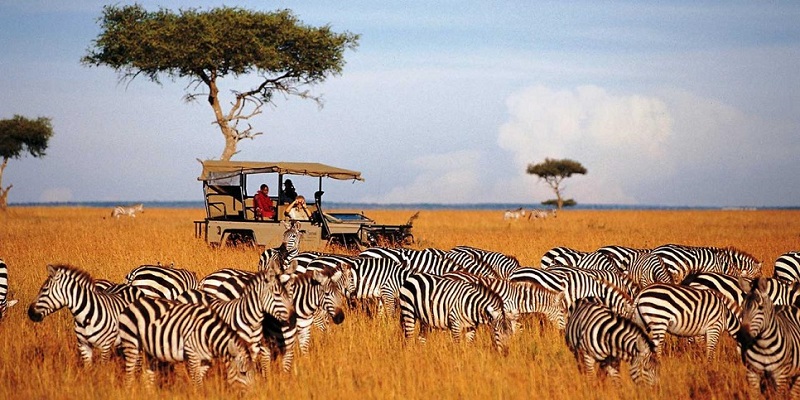Vườn quốc gia Aberdares Kenya Châu Phi